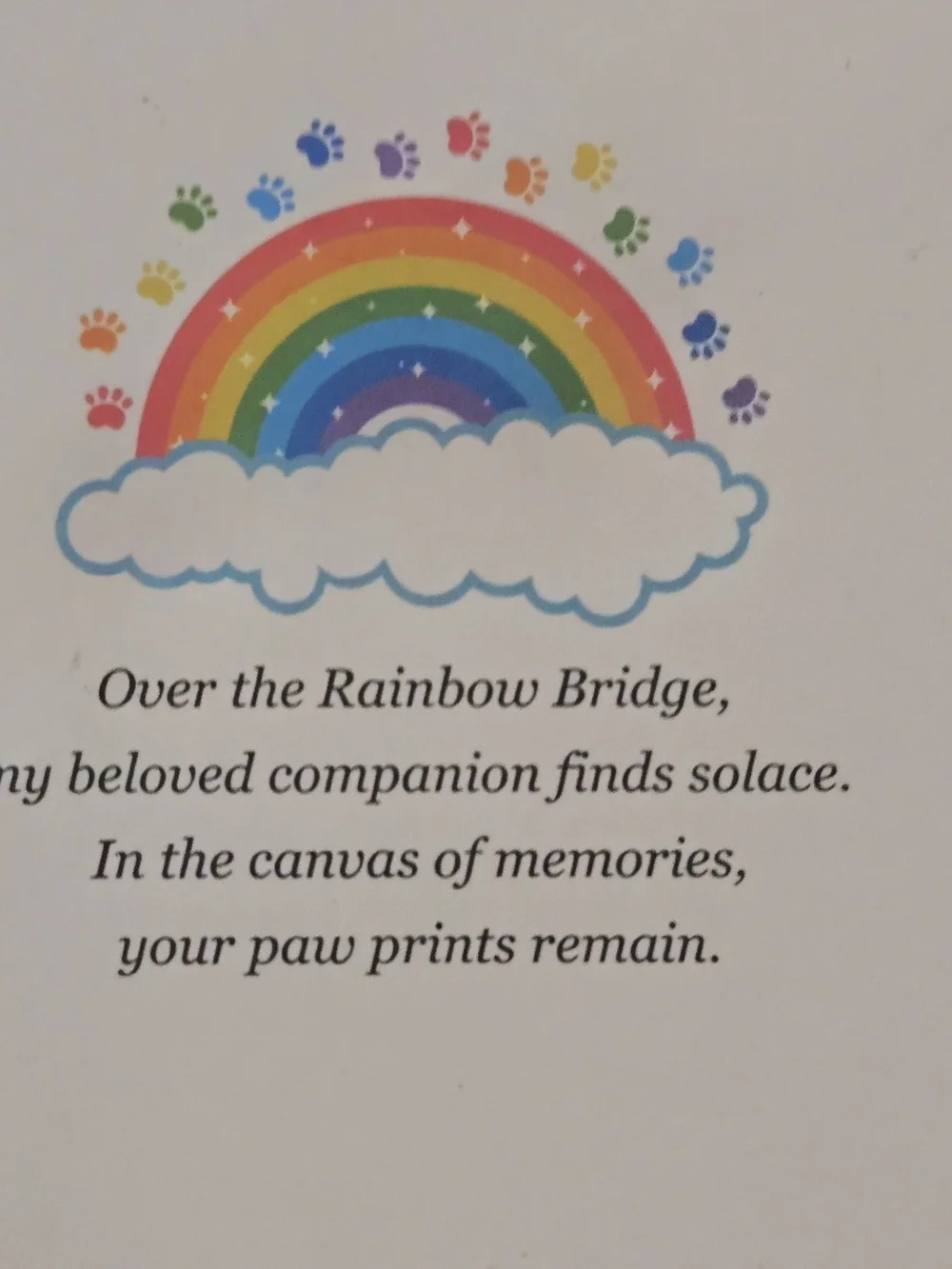 Fire Beetle Rainbow Bridge Pet Memorial Lava Rock Bead Bracelet with Gift Box &